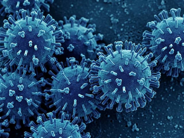 Virus Yamagata Penyebab Influenza Tak Lagi Ditemukan sejak 2020, Kok Bisa?