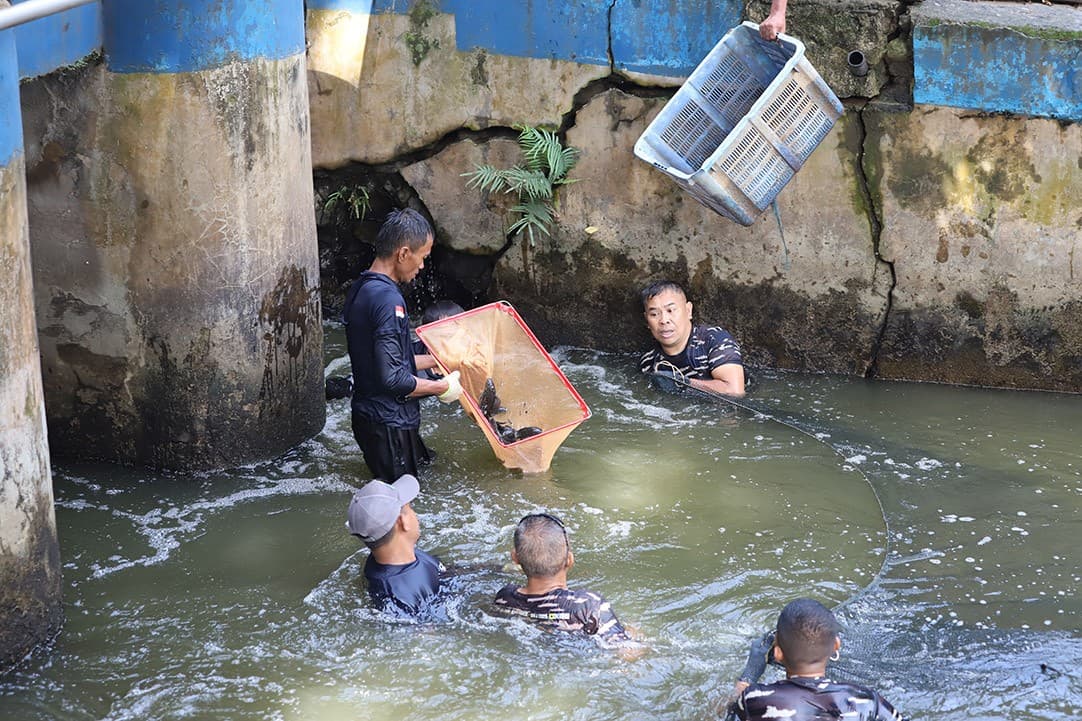 TNI AL Dikerahkan Bantu Basmi Ikan Sapu-Sapu