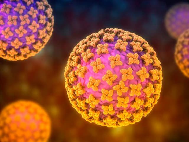 WHO: Hantavirus Lebih Mematikan daripada Covid-19