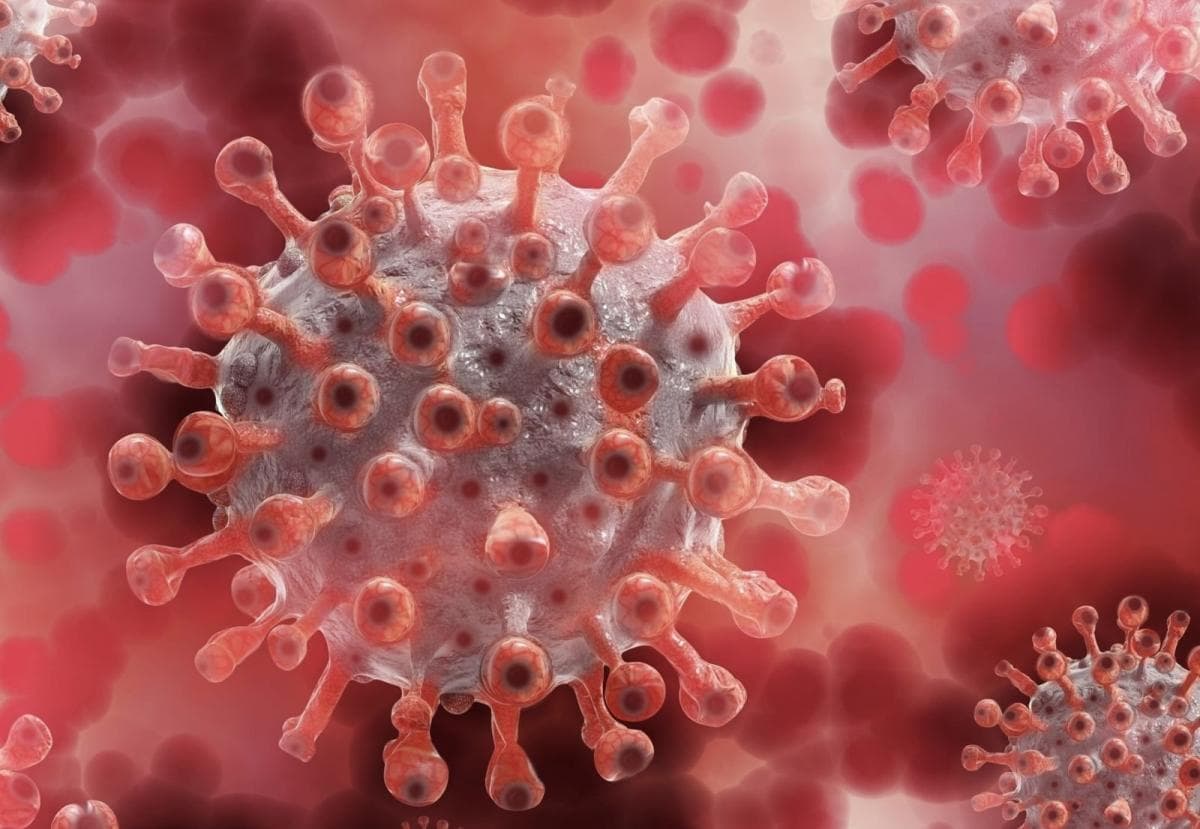 Beda Hantavirus Israel dengan Outbreak di Kapal Pesiar MV Hondius, Ini Bahayanya!