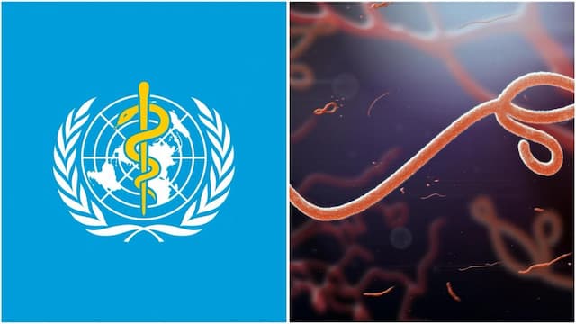 WHO Tetapkan Wabah Ebola sebagai Darurat Global, 80 Orang Meninggal Dunia