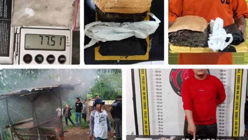 Operasi Besar Narkoba di Sumut, 342 Orang Ditangkap Termasuk Pengguna hingga Pengedar