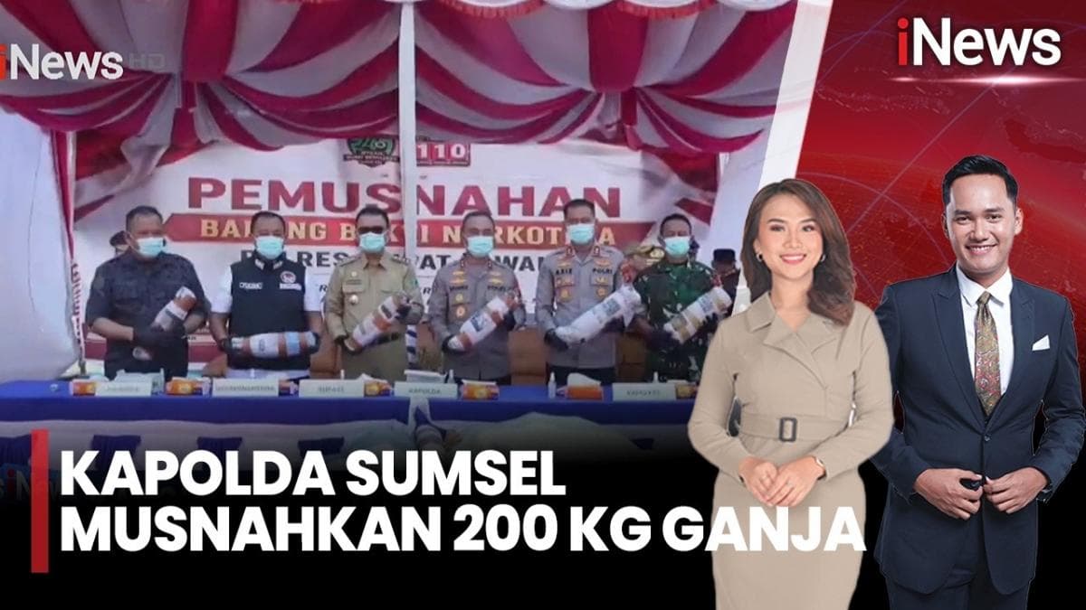 Kapolda Sumsel Musnahkan 200 Kilogram Ganja Kering Sitaan dari Empat Lawang