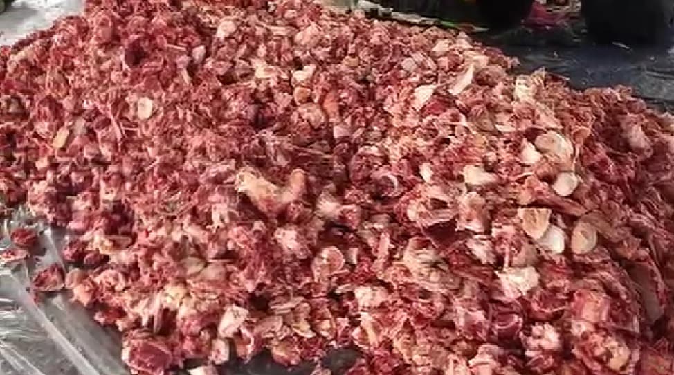 Desa Cikaso Kuningan Catat Rekor Kurban 28 Sapi, Daging Berlimpah Dibagikan ke Warga