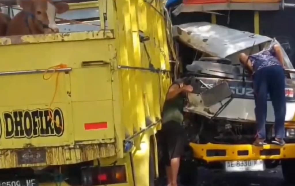 Truk Angkut Sapi Kurban Tabrakan Beruntun di Magetan, 3 Orang Luka Berat