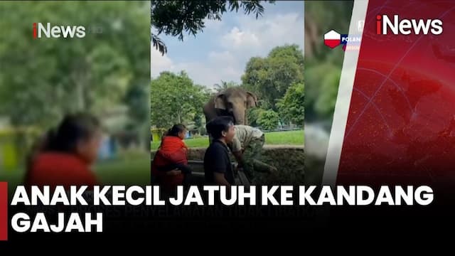Bocah Terpeleset Masuk ke Kandang Gajah Ragunan, Orang Tua Diingatkan Lebih Waspada Dampingi Anak