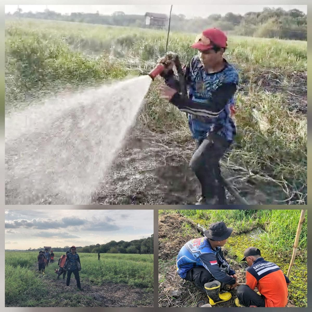 Tim Dalkarhutla Padamkan Kebakaran Lahan 1,65 Hektare, Akses Sulit Jadi Tantangan