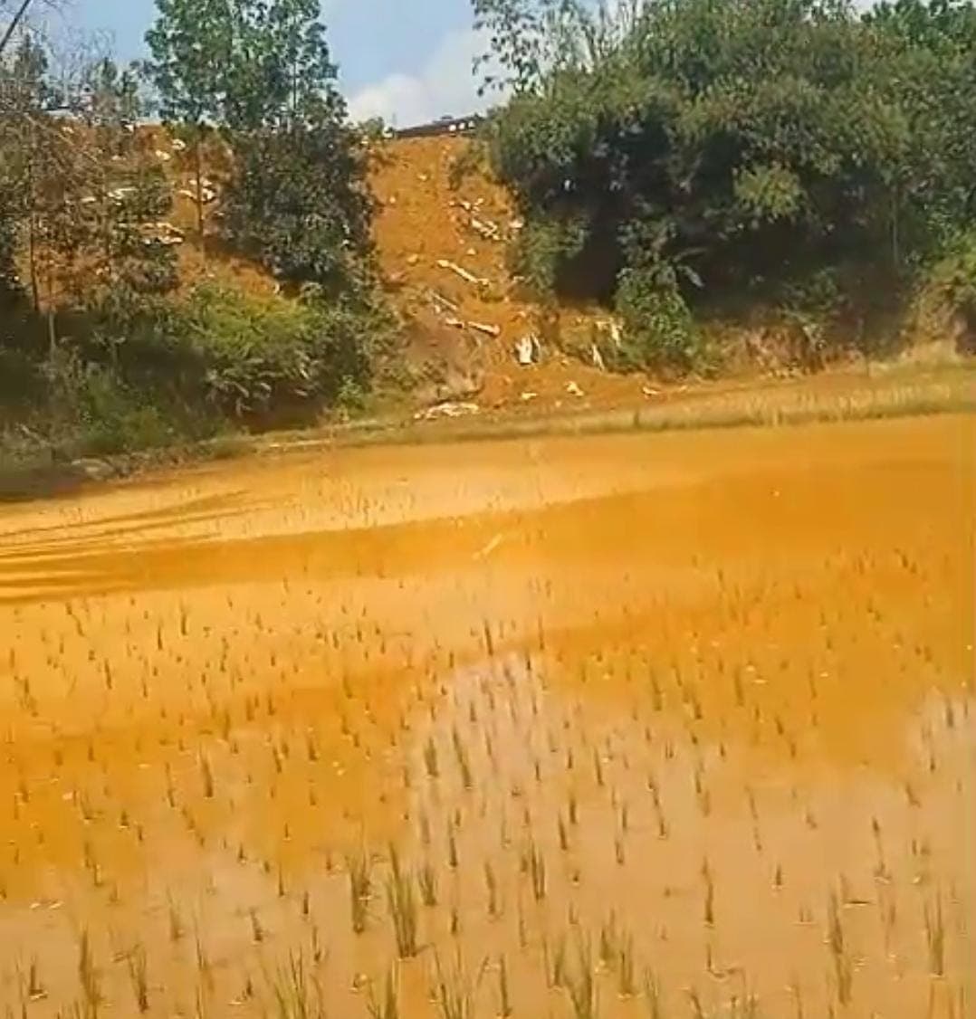 KLH Diminta Turun Tangan: Sawah Tegal Wangi Tercemar Limbah B3 KLH Diminta Turun Tangan: Sawah Tegal Wangi Tercemar Limbah B3