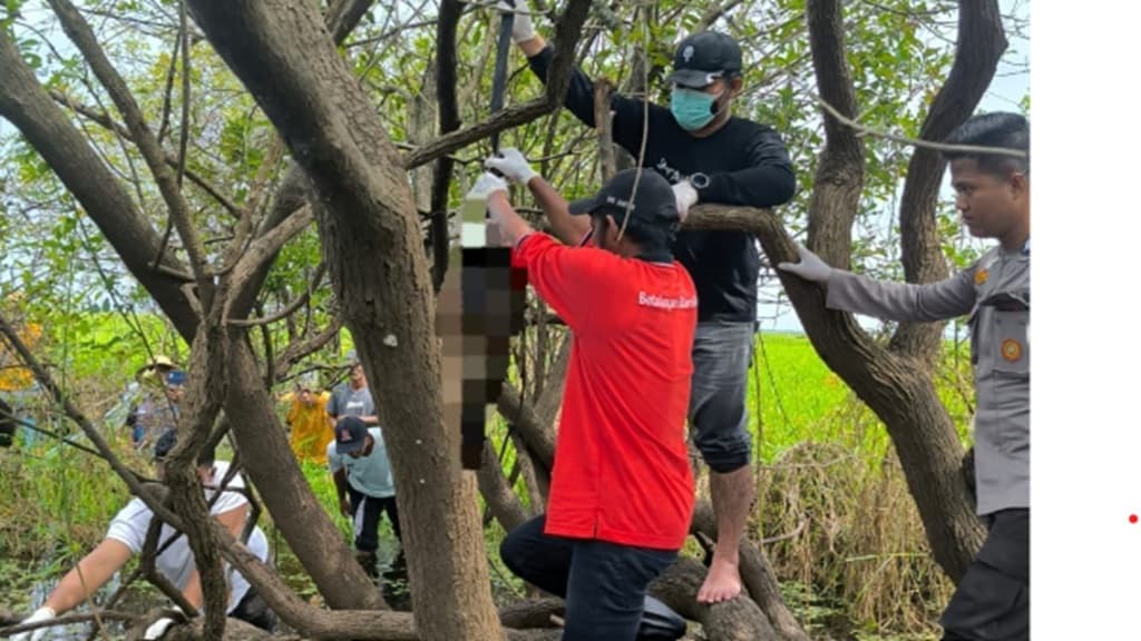 Geger Mayat Tergantung di Tengah Rawa di Kutai Kartanegara, Ditemukan Tinggal Tulang Belulang