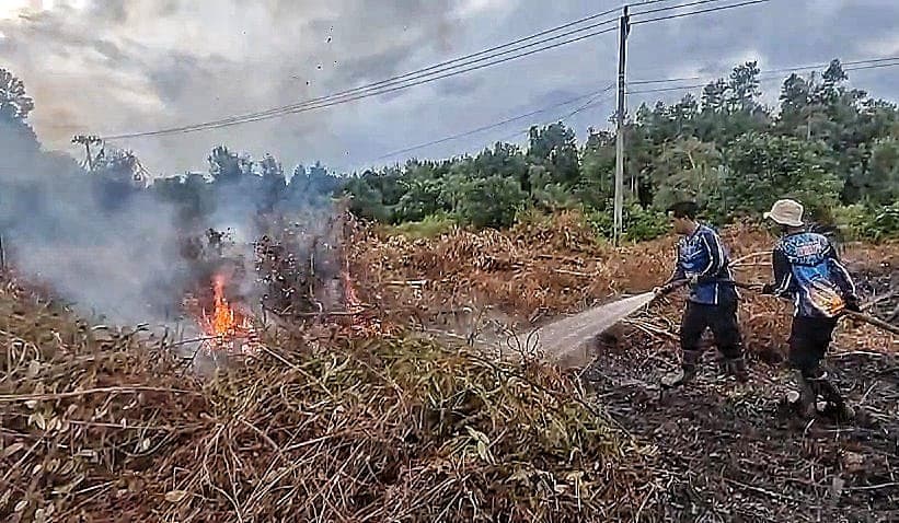 Tim Dalkarhutla Dishut Kalteng Padamkan Kebakaran Lahan Seluas 0,61 Hektare di Kabupaten Katingan