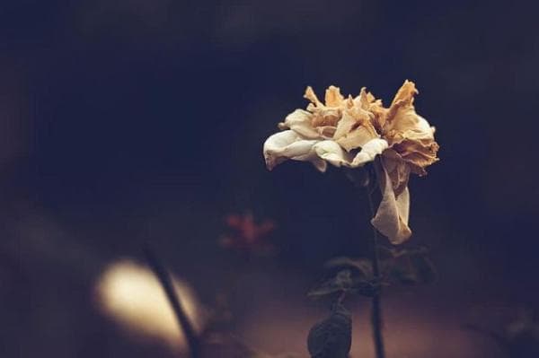 Hindari Perbuatan Dosa Jariyah, Apa Sajakah?