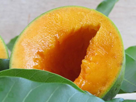 Besar-besaran! Mangga Istana Bakal Masuk Pasar Singapura, Petani Siap-siap