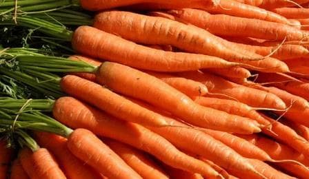 5 Manfaat Wortel Untuk Kesehatan Anda