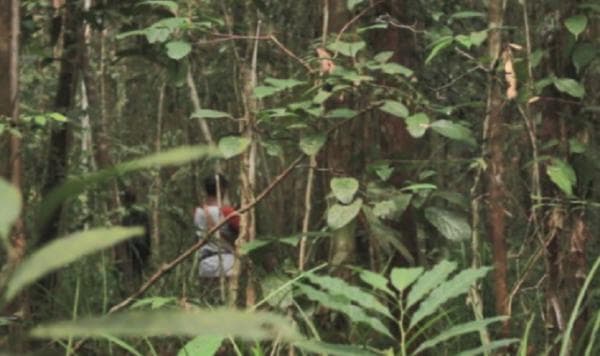 Kisah Misterius Orang Bunian di Tanah Melayu, Menggoda Manusia dengan Aroma Masakan