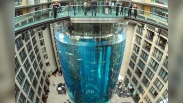 Akuarium Terbesar Pecah Membuat Ribuan Ikan Mati Akuarium Terbesar Pecah Membuat Ribuan Ikan Mati