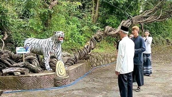 Misteri Pohon Jelmaan Naga di Situs Keramat Cimandung Cirebon, Dipercaya Penangkal Marabahaya Misteri Pohon Jelmaan Naga di Situs Keramat Cimandung Cirebon, Dipercaya Penangkal Marabahaya