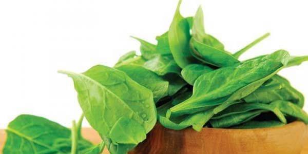 5 Manfaat Sayur Bayam untuk Kesehatan yang Perlu Dikonsumsi