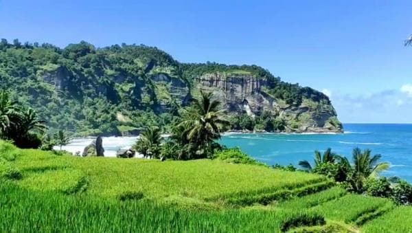 Keindahan Pantai Pangasan Pacitan Cocok untuk Liburan Tahun Baru Keindahan Pantai Pangasan Pacitan Cocok untuk Liburan Tahun Baru