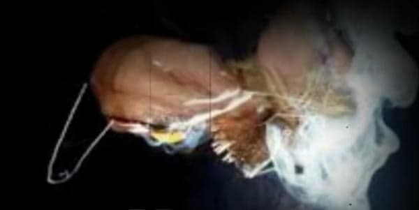 3 Daerah di Tatar Pasundan yang Memiliki Ilmu Pelet Ampuh Berbahaya, Bikin Lawan Jenis Klepek-klepek