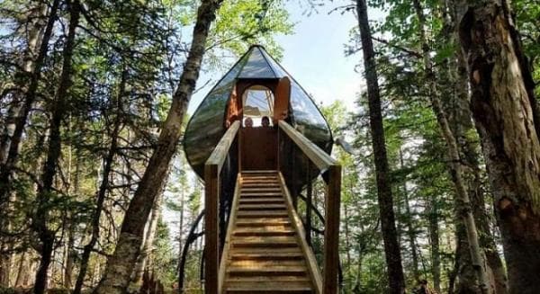 Mirip Hotel, Rumah Pohon Tertinggi Ini Beri Rasa Aman Bagi Pengunjung