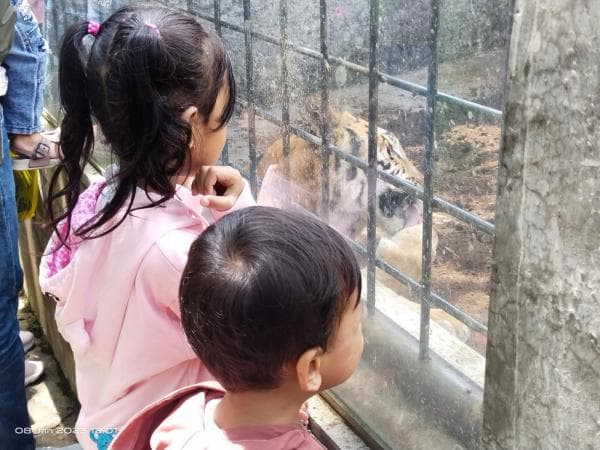 Akhir Masa Liburan, EL Jadi Daya Tarik Pengunjung Taman Satwa Cikembulan Garut