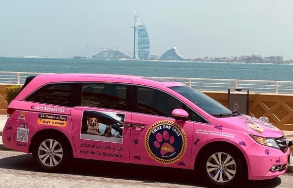 Wow! Taksi Khusus Anjing dan Kucing di Dubai Siap Antar Jemput 24 Jam