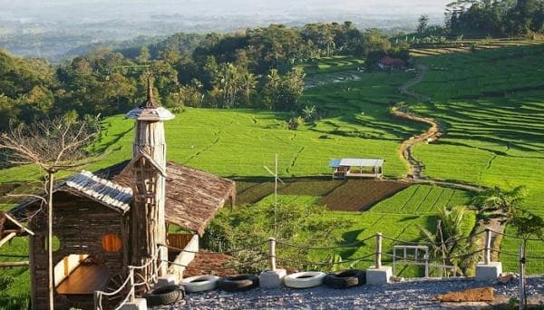 Ciboer Pass, Wisata Alam Majalengka dengan Pesona Eksotis Sawah Terasering Mirip di Ubud Ciboer Pass, Wisata Alam Majalengka dengan Pesona Eksotis Sawah Terasering Mirip di Ubud