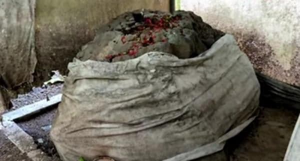 Ular Bertapa Berubah Jadi Batu di Pinggir Jalan Raya, Ternyata Peninggalan Zaman Majapahit Ular Bertapa Berubah Jadi Batu di Pinggir Jalan Raya, Ternyata Peninggalan Zaman Majapahit