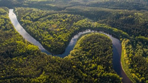 Waspada! Ini Dia 7 Makhluk Mengerikan Penghuni Sungai Amazon. Nomer 5 Bikin Ngeri Waspada! Ini Dia 7 Makhluk Mengerikan Penghuni Sungai Amazon. Nomer 5 Bikin Ngeri