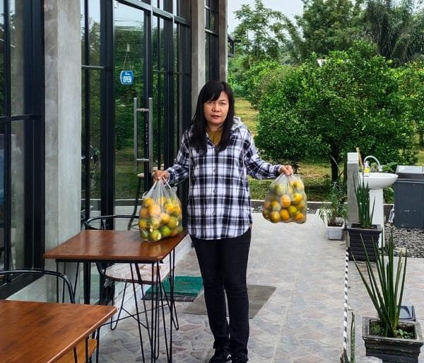 Cafe Sopou di Saribudolok- Simalungun Sajikan Kuliner Cita Rasa Tradisional dan Sensasi Petik Jeruk