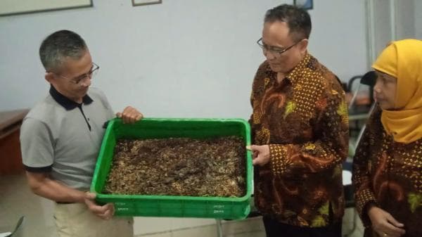 Peneliti Unisba Kenalkan Maggot sebagai Pengurai Limbah Padat Industri Kulit