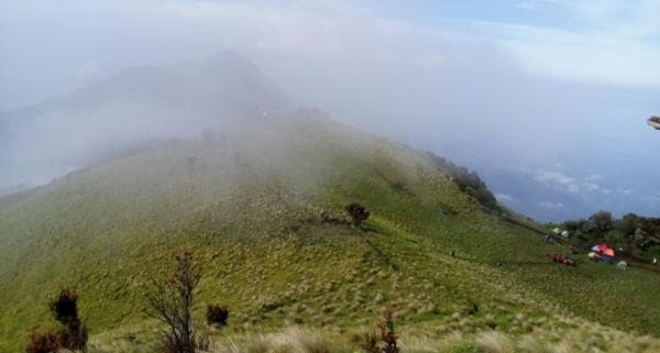 Mitos Mengerikan Gunung Merbabu, Pendaki Perhatian Hal Ini Agar Tak Bertemu Setan Gendong Mitos Mengerikan Gunung Merbabu, Pendaki Perhatian Hal Ini Agar Tak Bertemu Setan Gendong