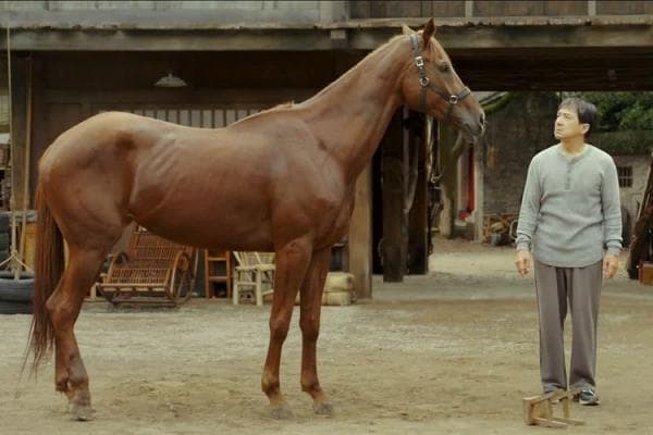 Berikut Sinopsis Film Terbaru Ride On yang Dibintangi Jackie Chan