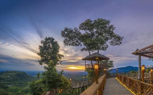 7 Tempat Wisata di Pamah Simelir Langkat yang Menarik untuk Dikunjungi, Nomor 1 Rumah Pohon Habitat 7 Tempat Wisata di Pamah Simelir Langkat yang Menarik untuk Dikunjungi, Nomor 1 Rumah Pohon Habitat