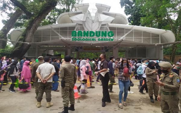 Catat, Harga Tiket Masuk Kebun Binatang Bandung, Taman Margasatwa Peninggalan Belanda