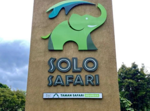 Segini Harga Tiket Masuk Solo Safari, Kebun Rojo Koleksi Hewan Peninggalan PB X