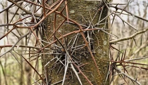 Siksa Paling Mengerikan! Inilah Makanan, Minuman dan Pakaian Penghuni Neraka