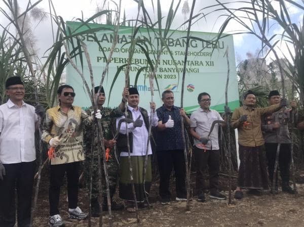 PTPN XII Kalitelepak Siapkan 910.000 Ton Tebu untuk Mendukung Swasembada Gula Nasional