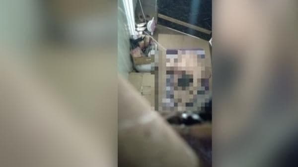 Viral Video Mesum Pemeran Prianya Diduga TKA Tiongkok Karyawan Perusahaan Smelter di Konawe