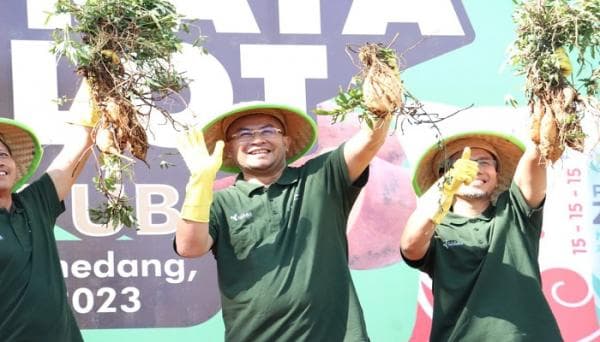 Mengenal Ubi Cilembu Khas Sumedang, Si Manis yang Kaya Manfaat Mengenal Ubi Cilembu Khas Sumedang, Si Manis yang Kaya Manfaat