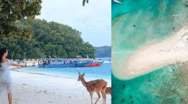 Liburan ke Ujung Kulon? Ini 5 Rekomendasi Wisata yang Wajib Anda Kunjungi, Ada Pulau Badul