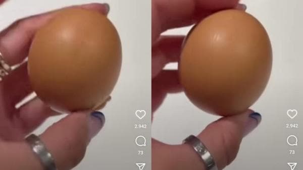 Viral! Seorang Temukan Telur Bulat Sempurna Saat Berbelanja, Seperti Ini Tampilannya