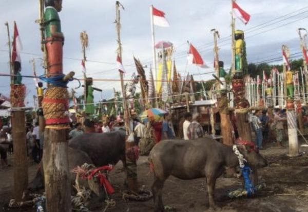 Mengenal Ritual Tiwah Memanggil Roh Leluhur Suku Dayak di Kalteng Mengenal Ritual Tiwah Memanggil Roh Leluhur Suku Dayak di Kalteng