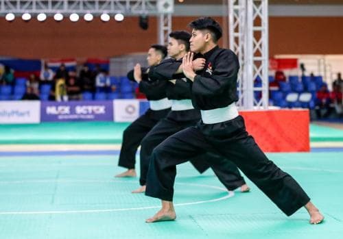 Ini 7 Perguruan Pencak Silat Terbesar di Indonesia yang Buka Cabang hingga Luar Negeri