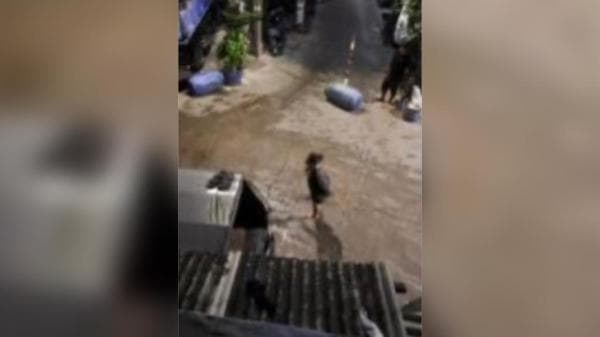 Viral, Wanita Muda Ini Berani Bubarkan Tawuran Pakai Sajam