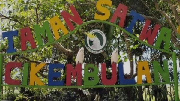 Harga Tiket Masuk Taman Satwa Cikembulan Garut, Sudah Tahu? Simak Penjelasannya Harga Tiket Masuk Taman Satwa Cikembulan Garut, Sudah Tahu? Simak Penjelasannya