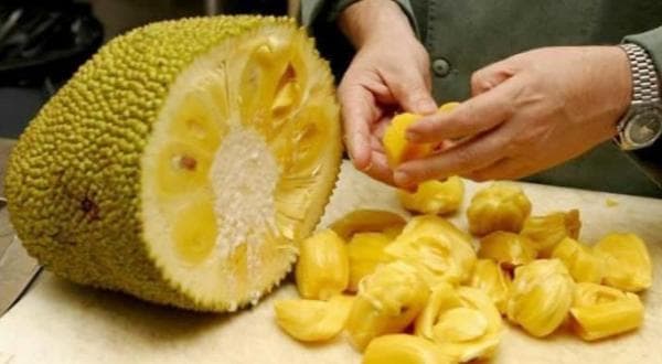 Tips dan Trik Cara Menghilangkan Getah Nangka, Tak Perlu Pakai Minyak