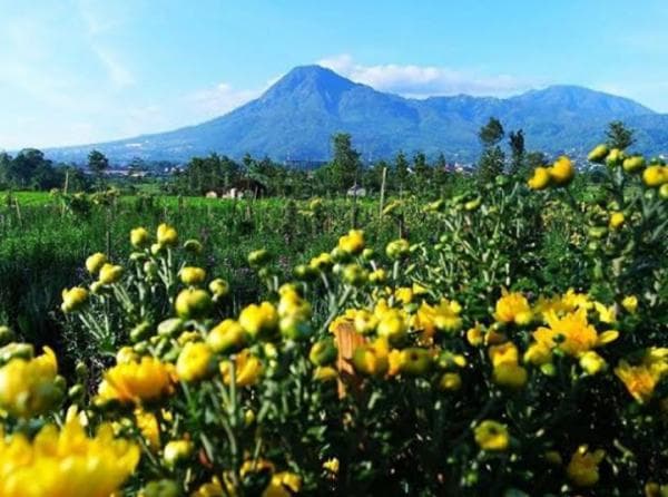 Sejarah Gunung Panderman, Benarkah Nama Kota Batu Ada Kaitannya Dengan Gunung Putri Tidur Ini?