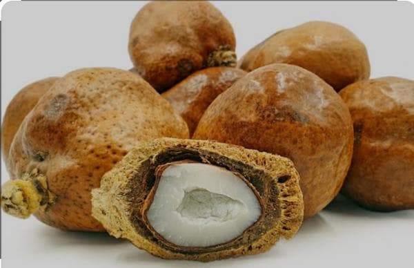 5 Manfaat Buah Zuriat untuk Wanita yang Wajib Diketahui