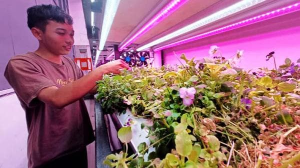 Keren, Pertanian Dalam Ruangan dengan Controlled Environment Agriculture